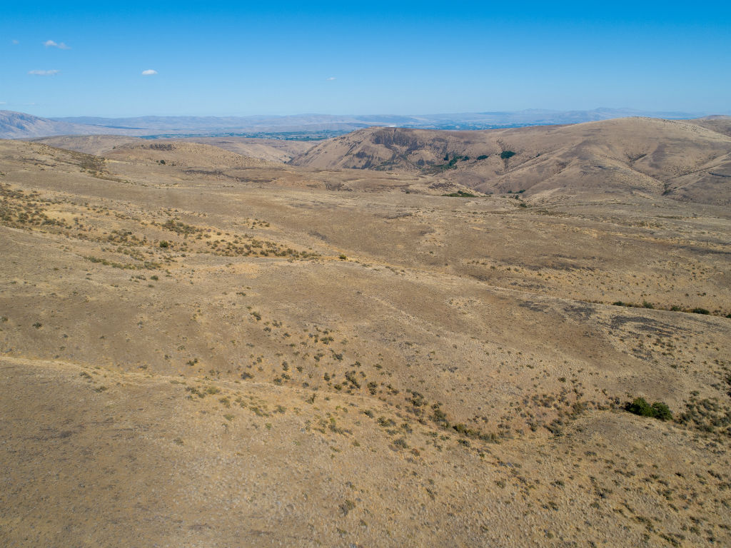 Mountain Land for Sale