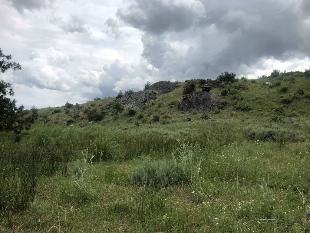 20 acres for sale near me